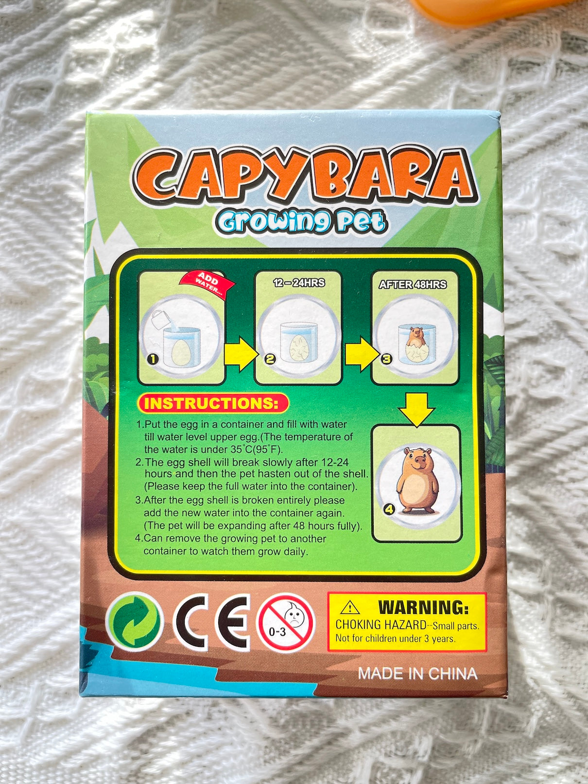 Capybara Orange-themed Set