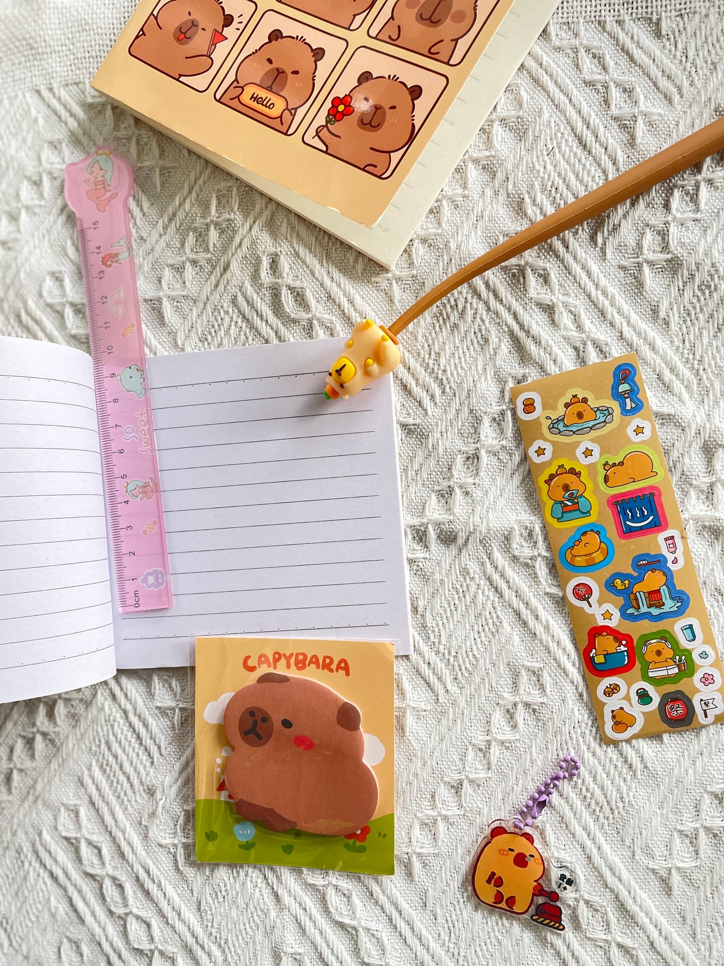 Capybara stationery gift set